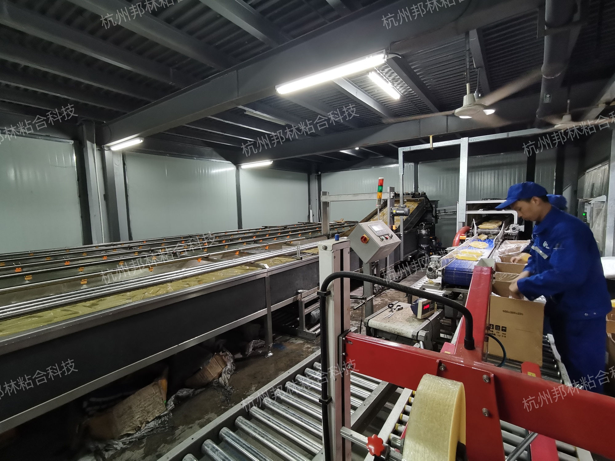 龙八国际热熔胶